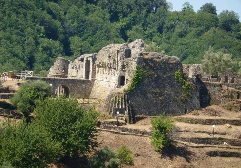 Arena1
