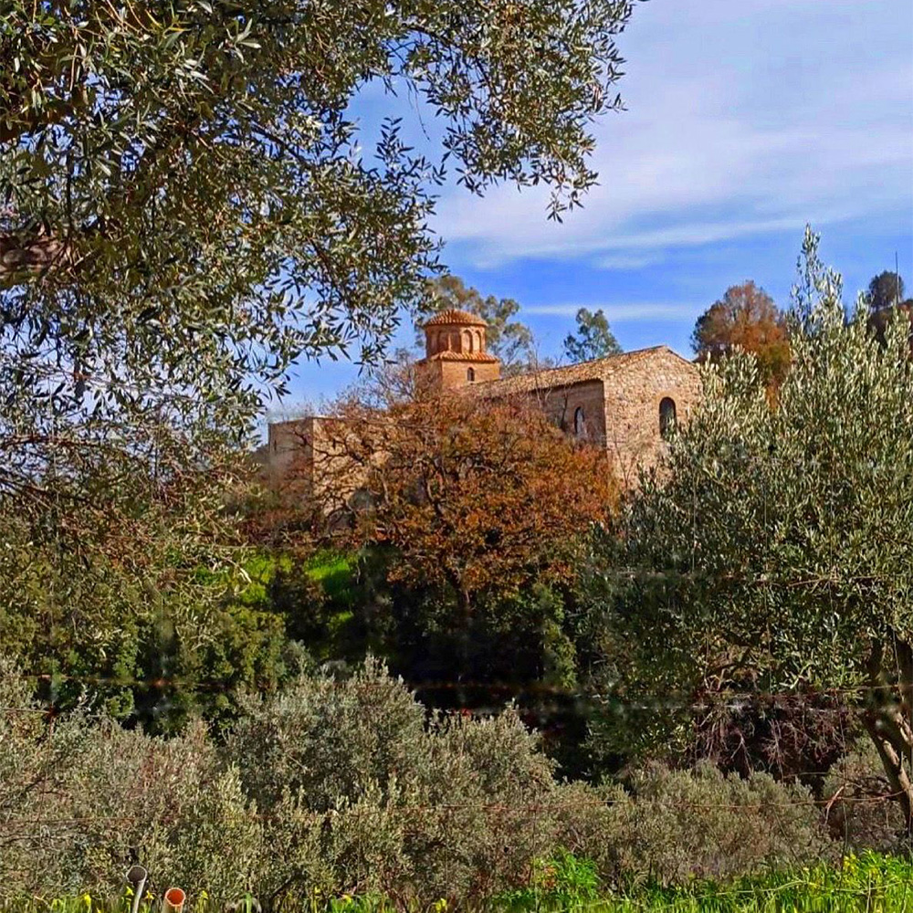 Senza titolo-6